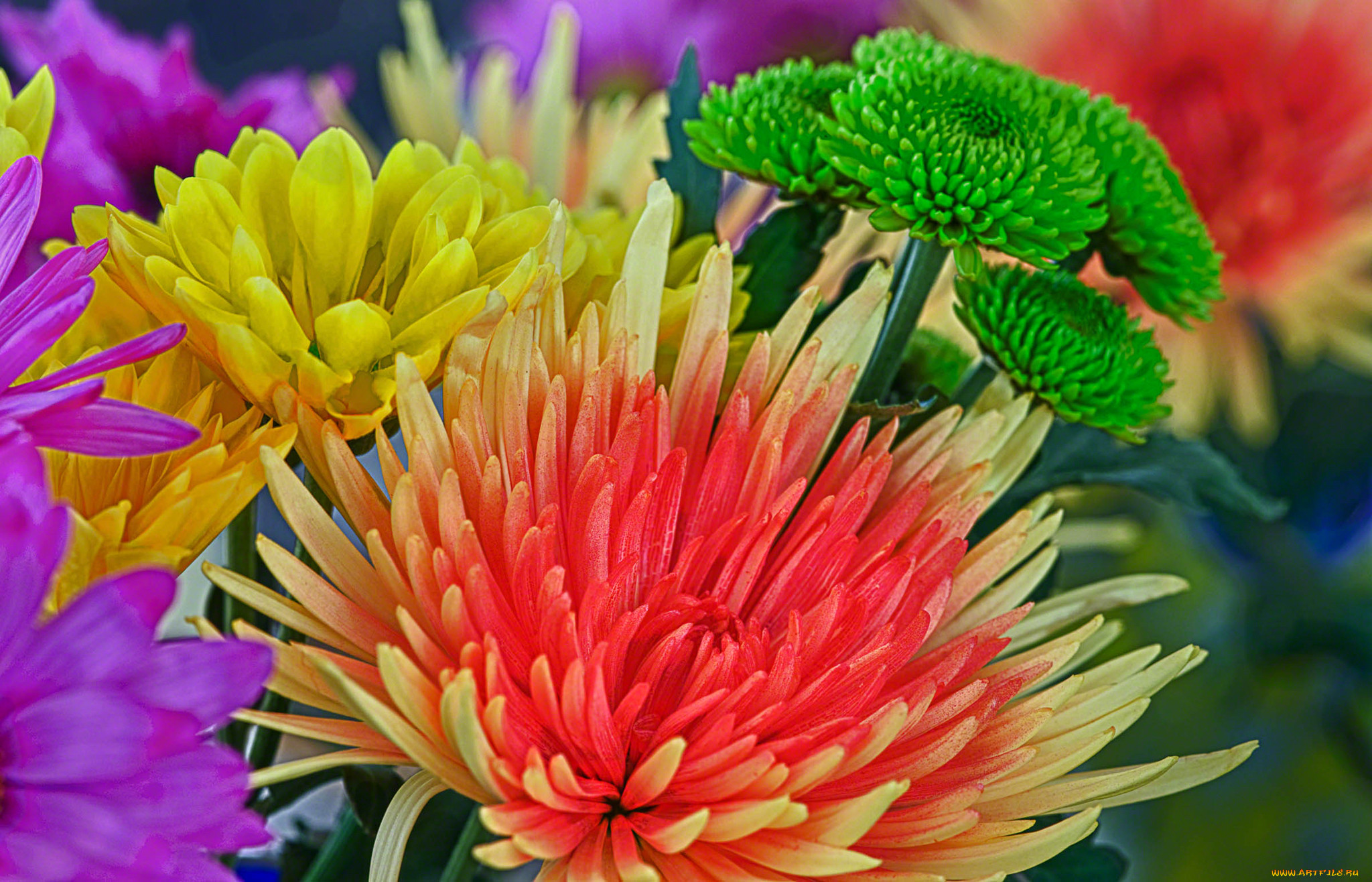 ,  , hdr, , , , 